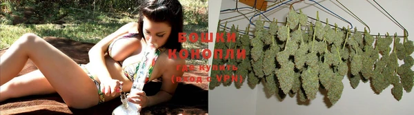 бошки Осташков