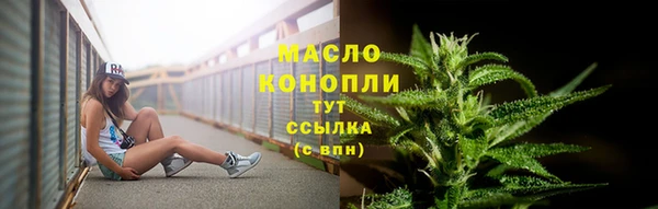 молекула духа Вуктыл