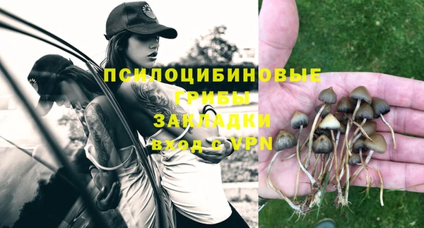 бошки Осташков
