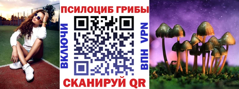 Псилоцибиновые грибы мицелий  Олонец 