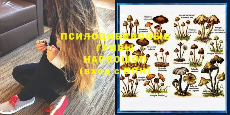 Галлюциногенные грибы Magic Shrooms  Олонец 